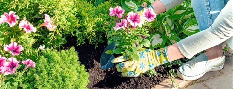7 California-Inspired Landscape Design Styles for Your Backyard