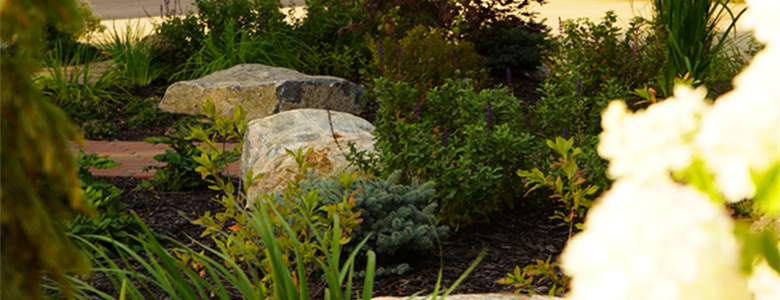 The Beauty of Nature: How to Incorporate Native Plants in Garden Landscaping