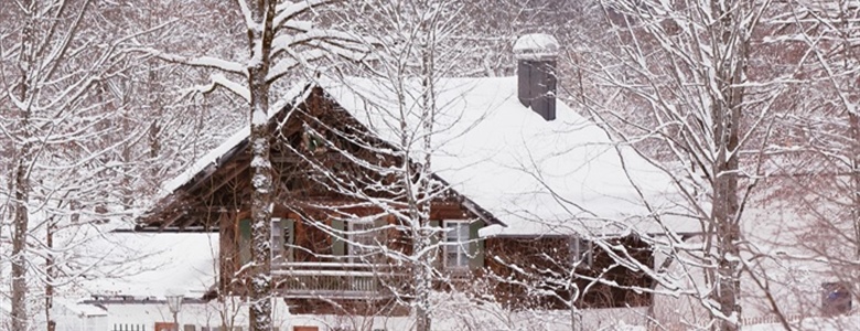 Winter Wonderland: 5 Ways to Winterize Your Landscaping