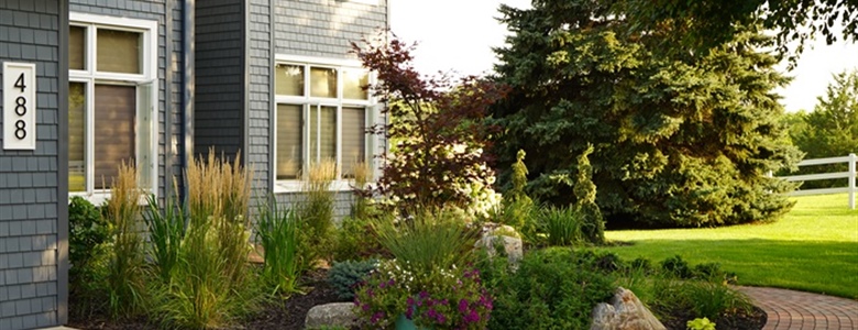 Enhance Your Landscape with Native Plants