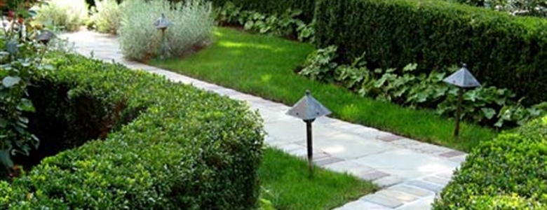 Fundamentals of Landscape Lighting Design: Fixtures, Layers & Efficiency