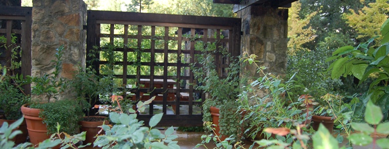 Vertical Gardening and Living Walls: Design, Plants, and Irrigation