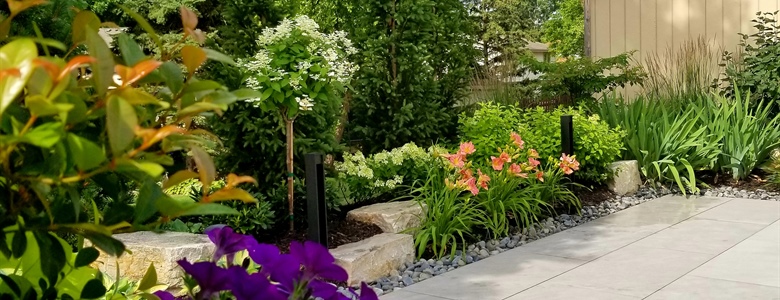 How to Create a Pollinator-Friendly Garden That Supports Bees and Butterflies