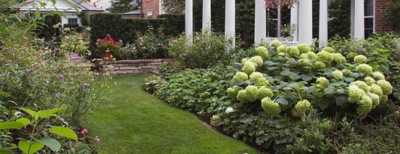 Pergola Integration: Design, Materials, Styling & Seasonal Ideas