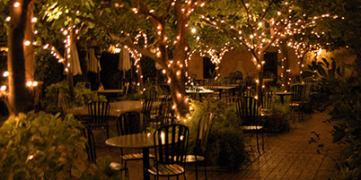 Intimate Seating Area Lit up by Lighted Wrapped Trees