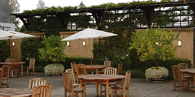 Custom Designed & Landscaped Seating Area